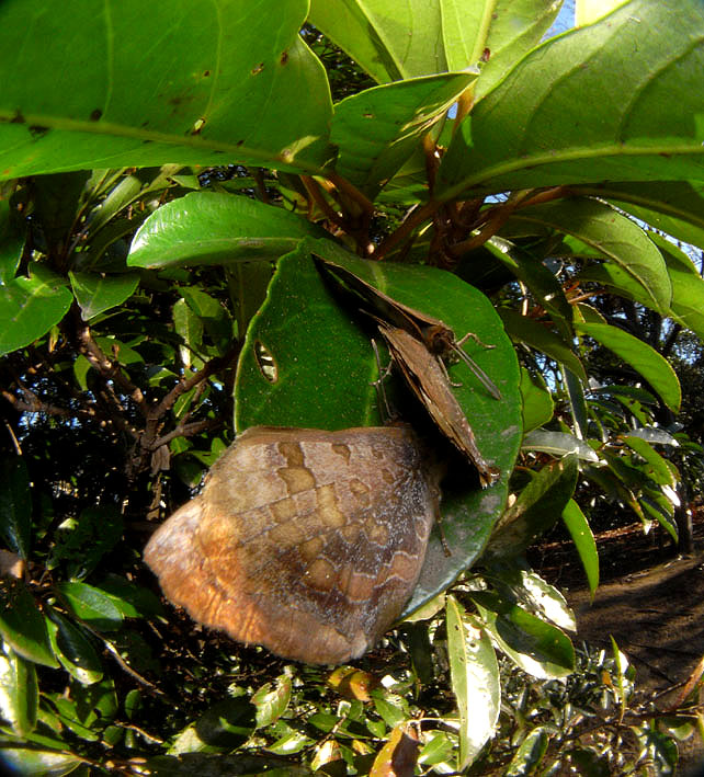 f0090680_2119416.jpg