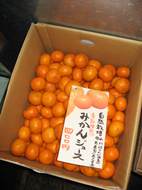 c0139085_1174731.jpg
