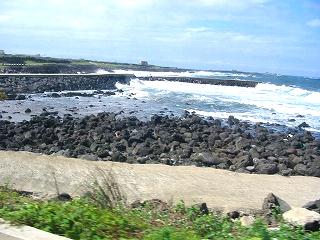c0153292_2365256.jpg