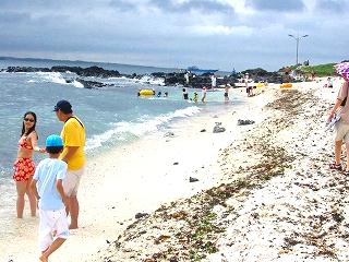 c0153292_2371639.jpg