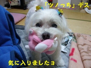 f0145192_1715982.jpg