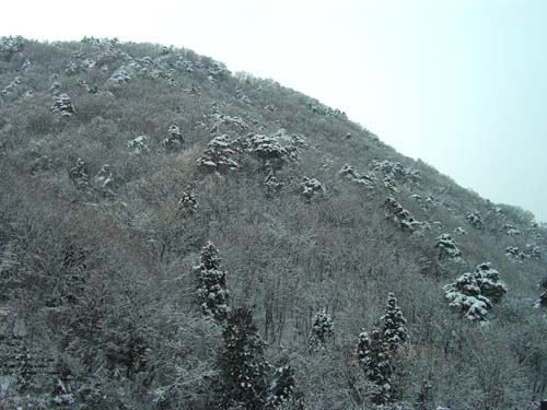 b0099994_21202542.jpg