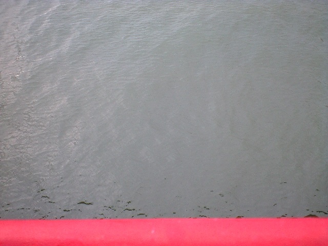 f0042295_21234233.jpg