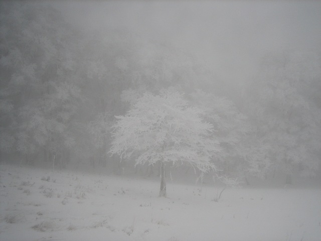 c0147398_15281416.jpg