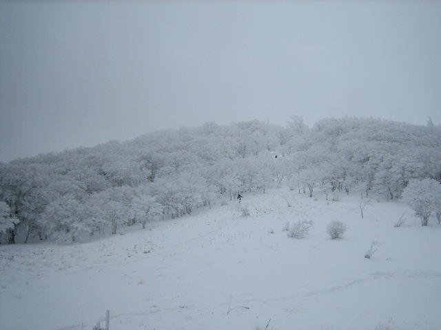 c0147398_1534425.jpg