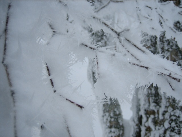 c0147398_15355231.jpg