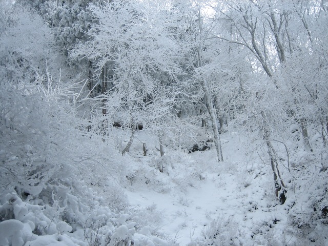 c0147398_15373854.jpg