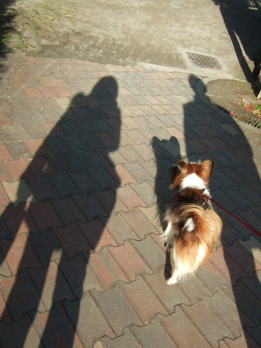 c0044199_23144581.jpg