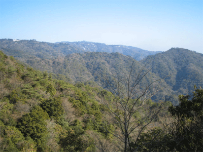 b0108100_21294262.gif