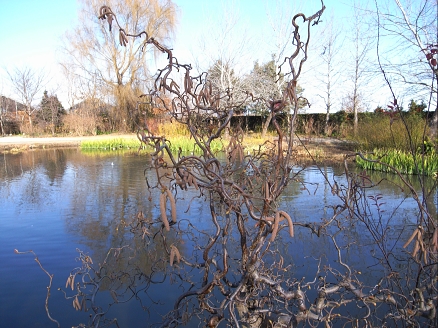 f0065604_2014331.jpg