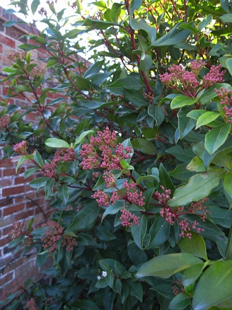 f0065604_202306.jpg