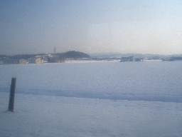 c0153606_23205280.jpg