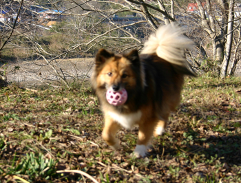 a0041108_2223295.jpg