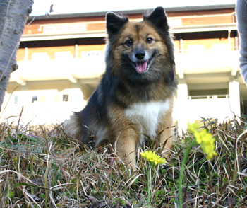 a0041108_223524.jpg