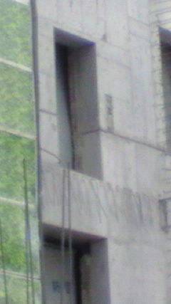e0016709_08413.jpg