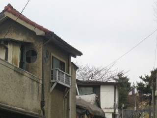 c0054118_1534786.jpg