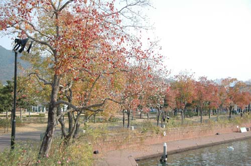 c0059521_11523195.jpg