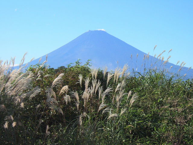 e0064133_21193458.jpg