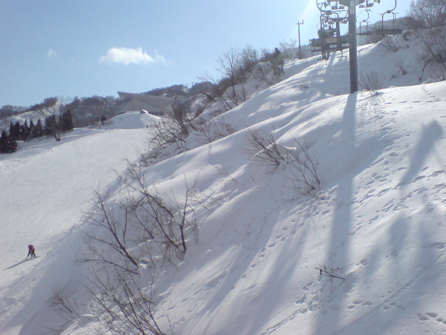 c0054838_17202756.jpg