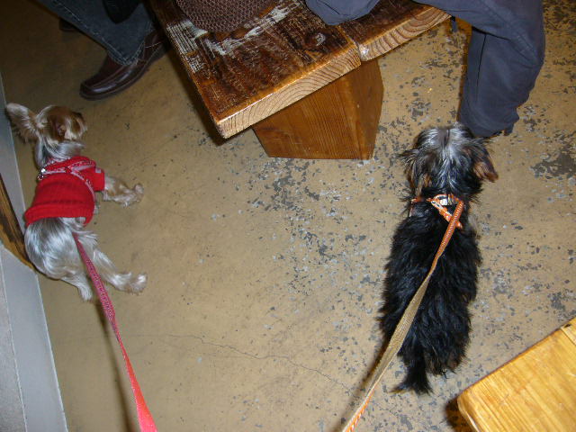 d0025643_2325247.jpg