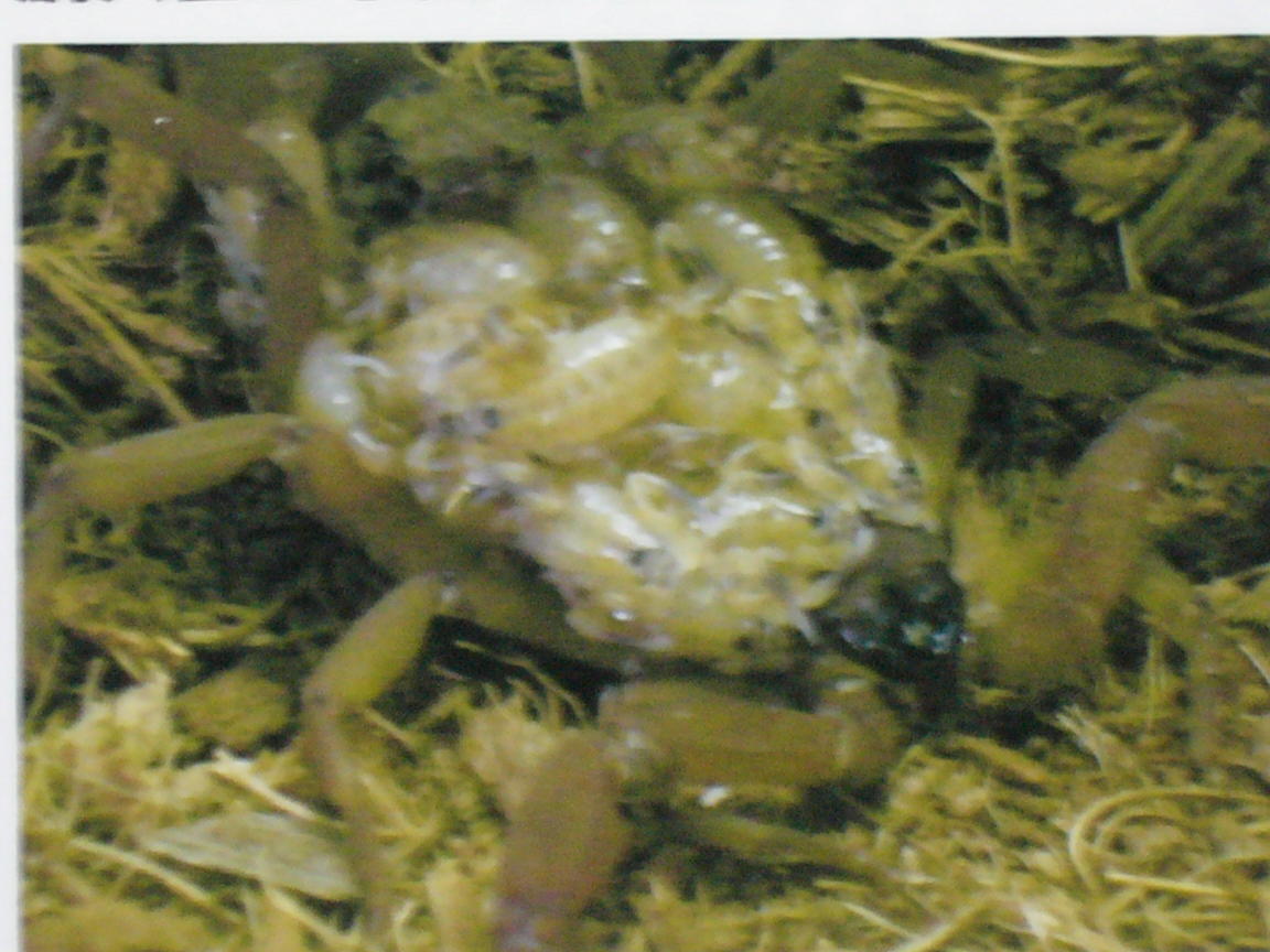 f0096947_13125647.jpg