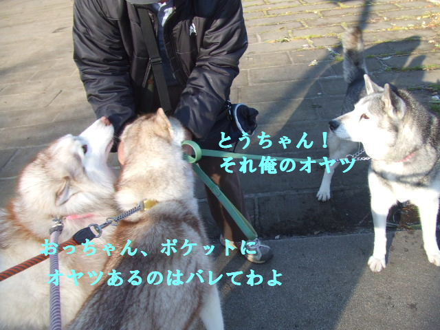 e0121548_20124376.jpg