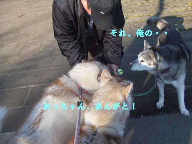 e0121548_20142677.jpg