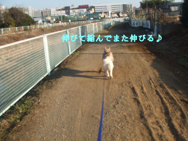 e0121548_20205158.jpg