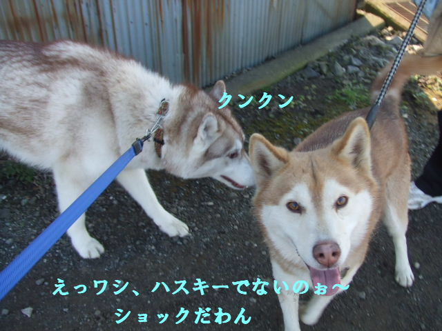 e0121548_20313330.jpg