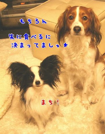 d0013149_0182477.jpg