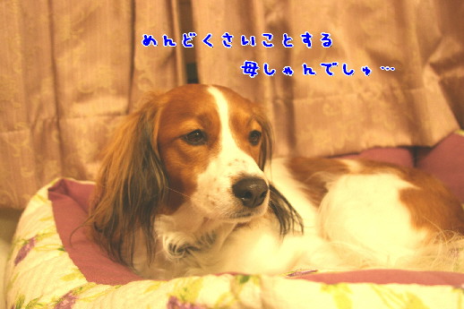 d0013149_0411118.jpg