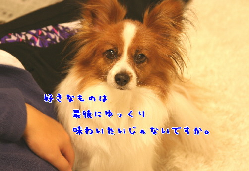 d0013149_0535662.jpg