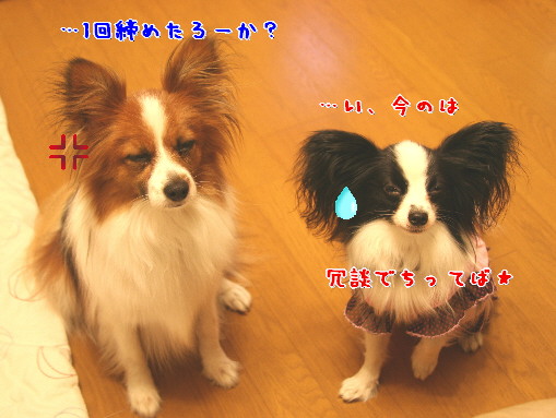 d0013149_154759.jpg