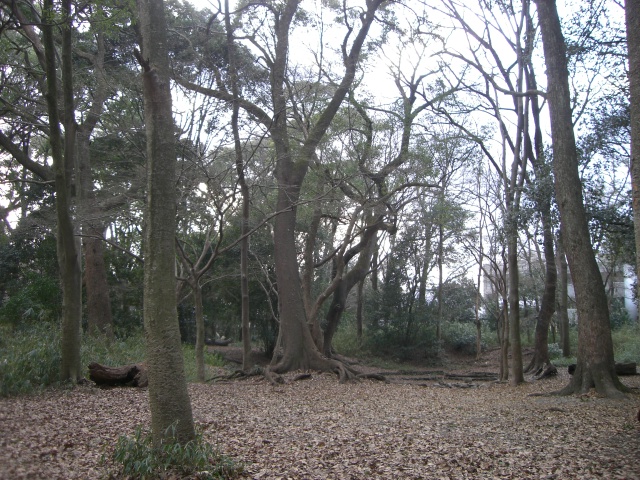 f0083649_013411.jpg