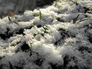 c0145250_1151371.jpg
