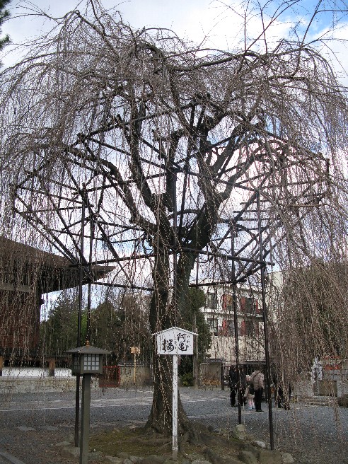 f0152550_18204246.jpg