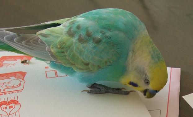 f0149057_1104857.jpg
