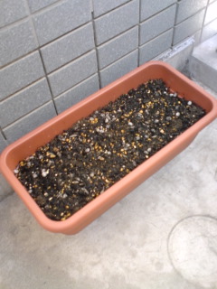 c0024558_18112599.jpg