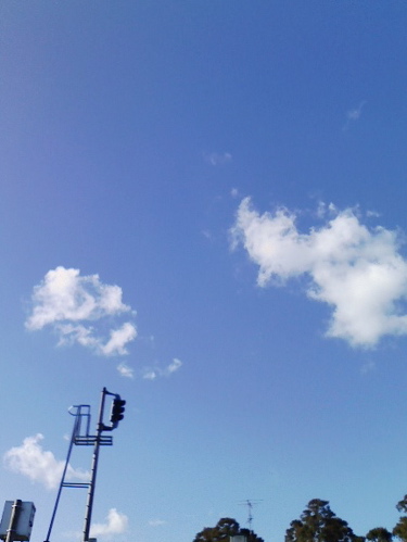 c0009461_2129770.jpg