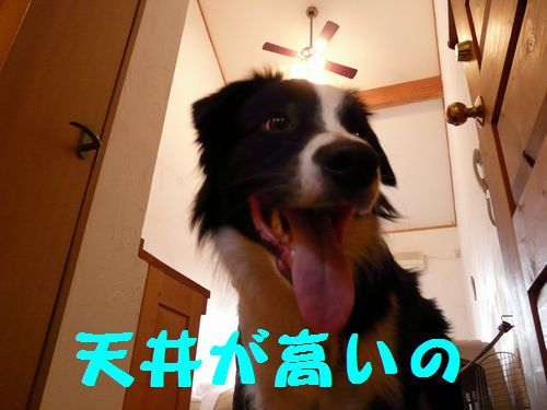 a0100564_1949351.jpg