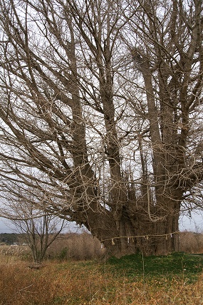 e0054067_02411.jpg