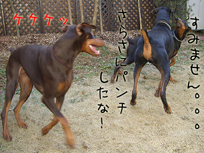 f0025769_18305833.jpg