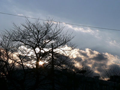 f0086169_0153170.jpg
