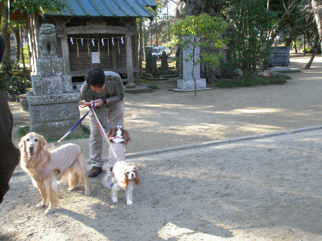 e0114977_1782868.jpg
