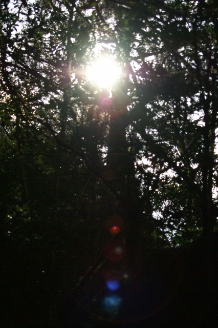 d0079278_18434556.jpg