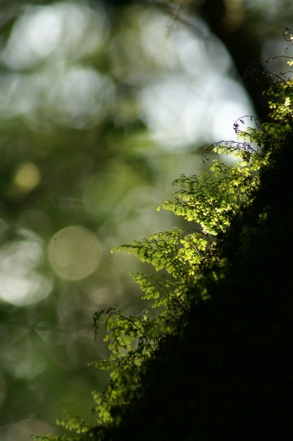 d0079278_18443931.jpg