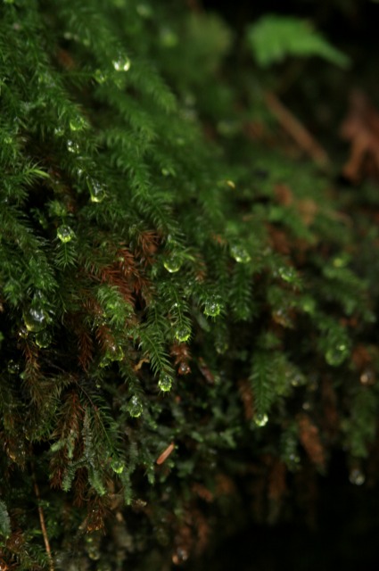d0079278_1981778.jpg