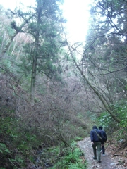 a0013479_225294.jpg