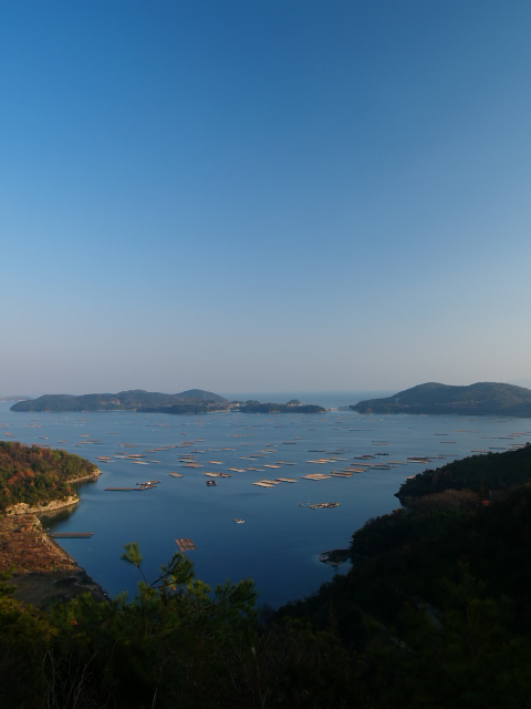 c0050380_171915100.jpg