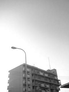 f0100480_16543330.jpg